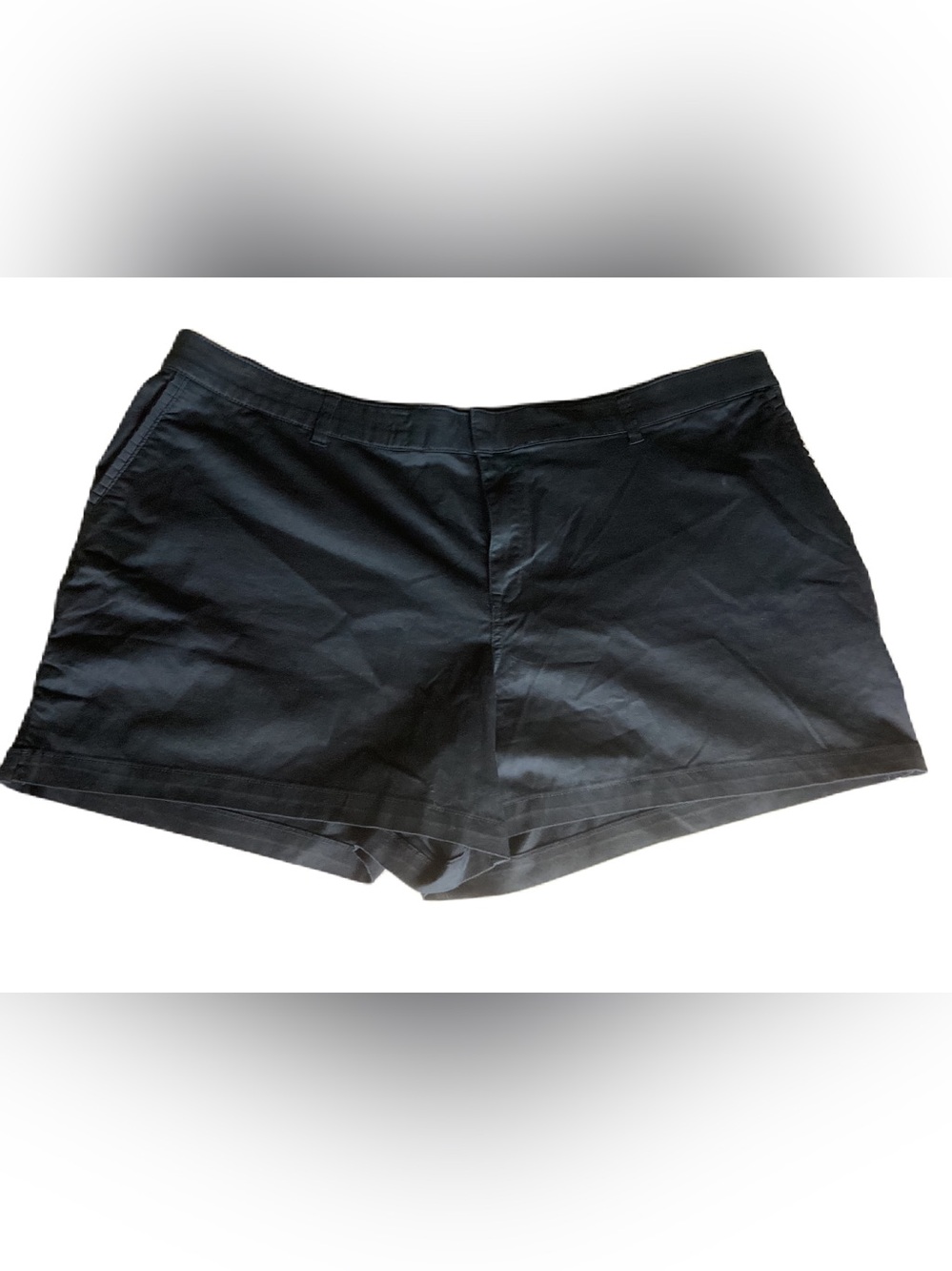 Lane Bryant shorts 28